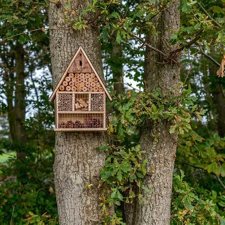 Hébergement de vacances Vakantiewoning De Bleekersvallei