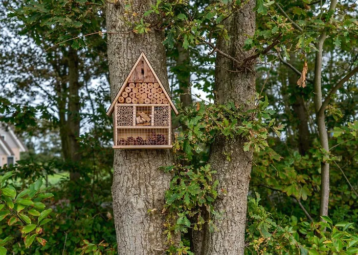 Hébergement de vacances Vakantiewoning De Bleekersvallei